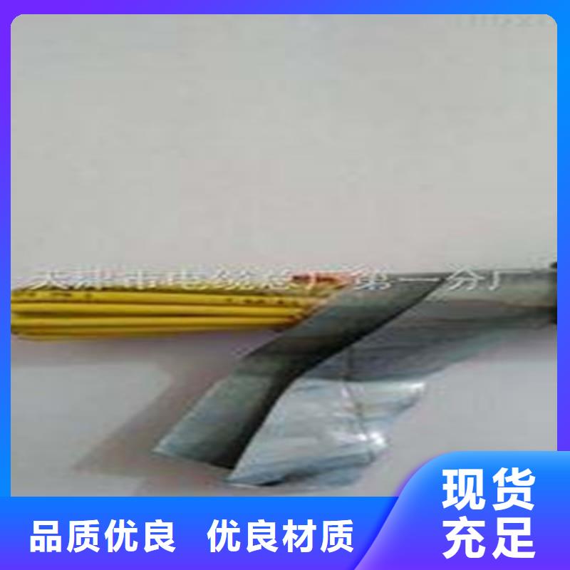 特种电缆通信电缆产地批发