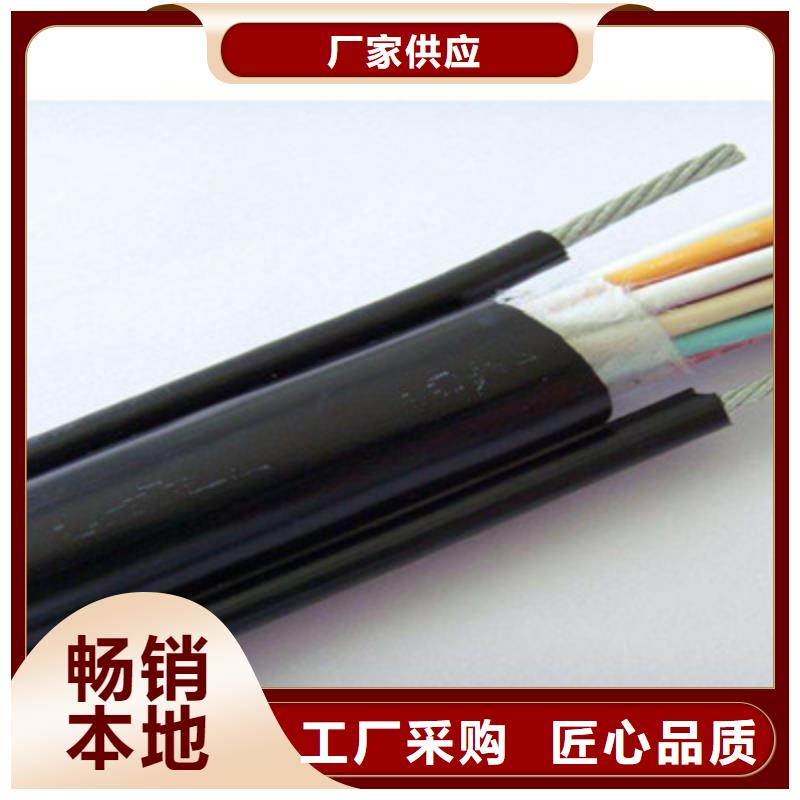 【特种电缆】_通信电缆根据要求定制