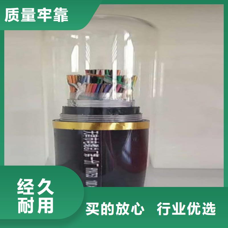 通信电缆控制电缆专业厂家