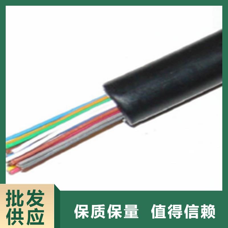 通信电缆信号电缆实力雄厚品质保障