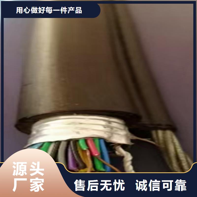 通信电缆-【屏蔽电缆】厂家直营