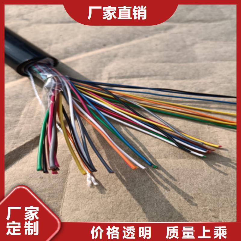 通信电缆屏蔽电缆一周内发货