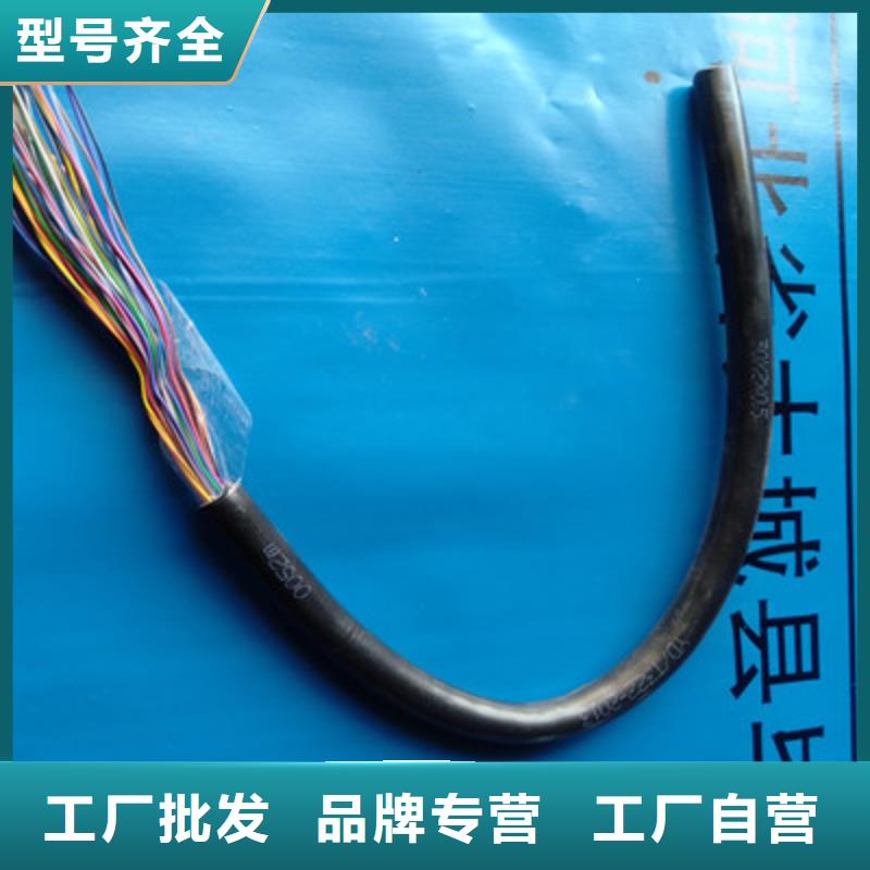 通信电缆屏蔽电缆专业的生产厂家