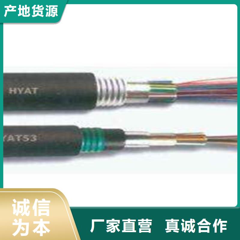 【通信电缆信号电缆买的是放心】