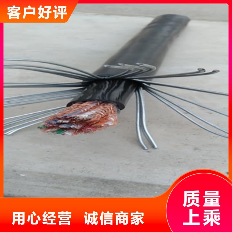 计算机电缆-屏蔽电缆专业品质