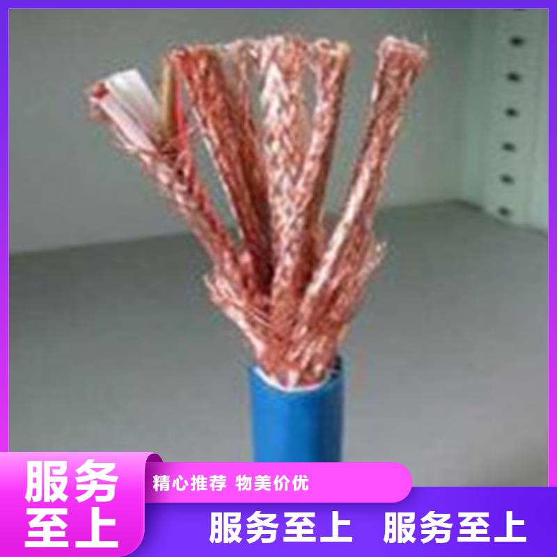 计算机电缆-屏蔽电缆专业品质