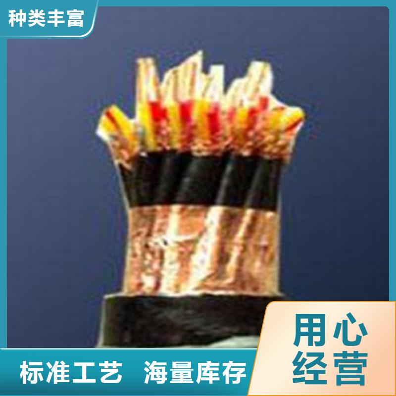 计算机电缆信号电缆用心制作