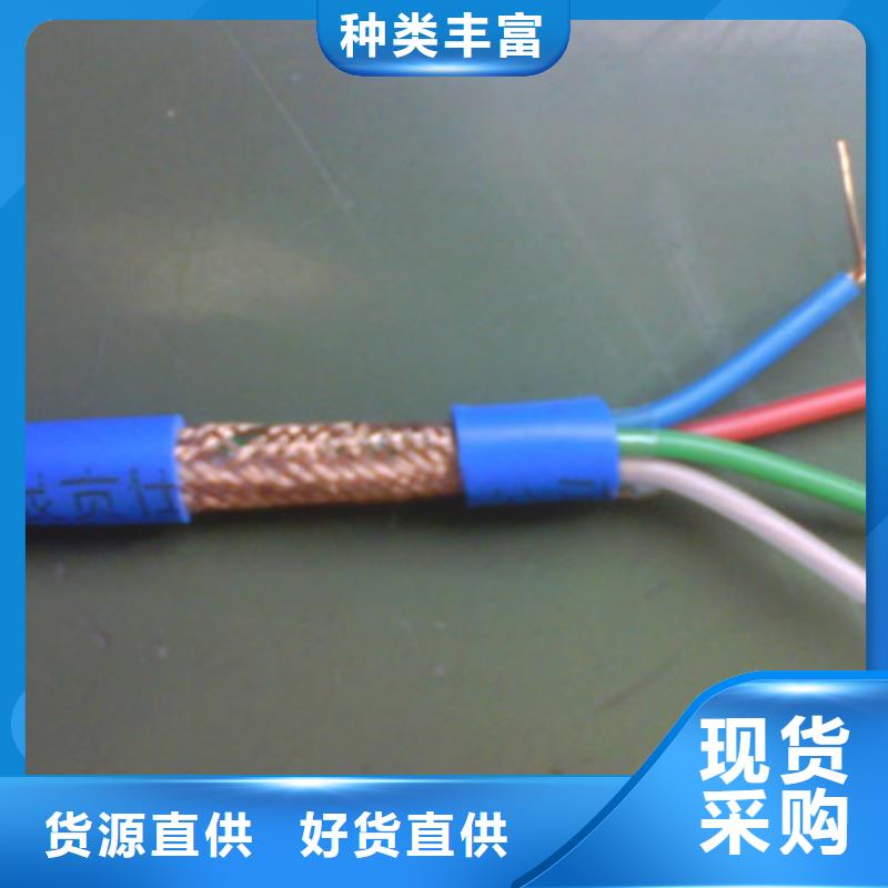 计算机电缆-屏蔽电缆专业品质