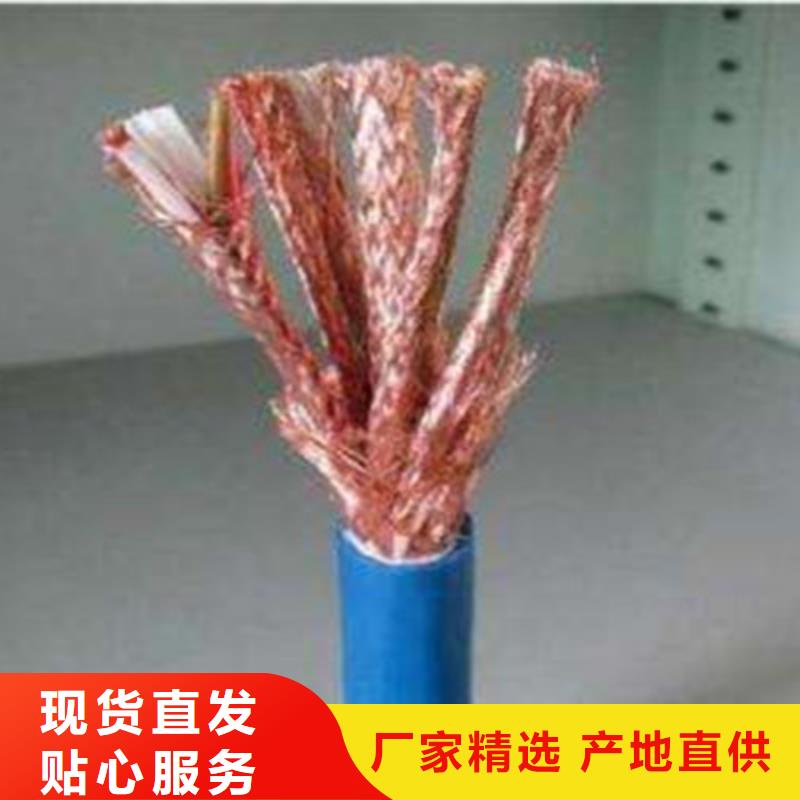 计算机电缆-信号电缆厂家实力雄厚