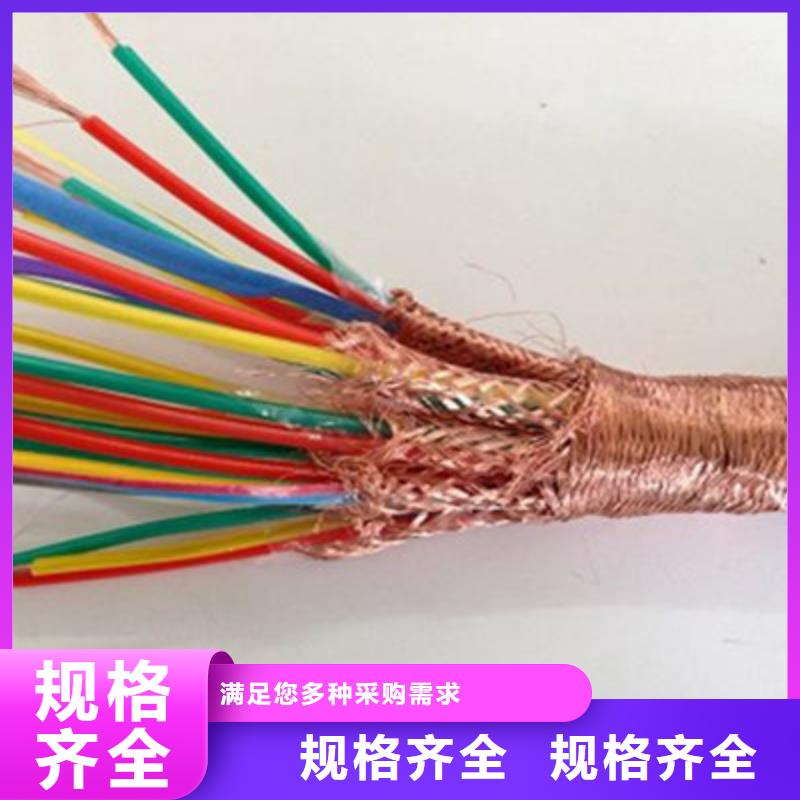 计算机电缆-通信电缆专心专注专业
