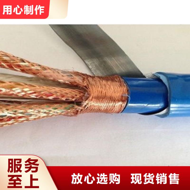 计算机电缆屏蔽电缆真正的源头厂家