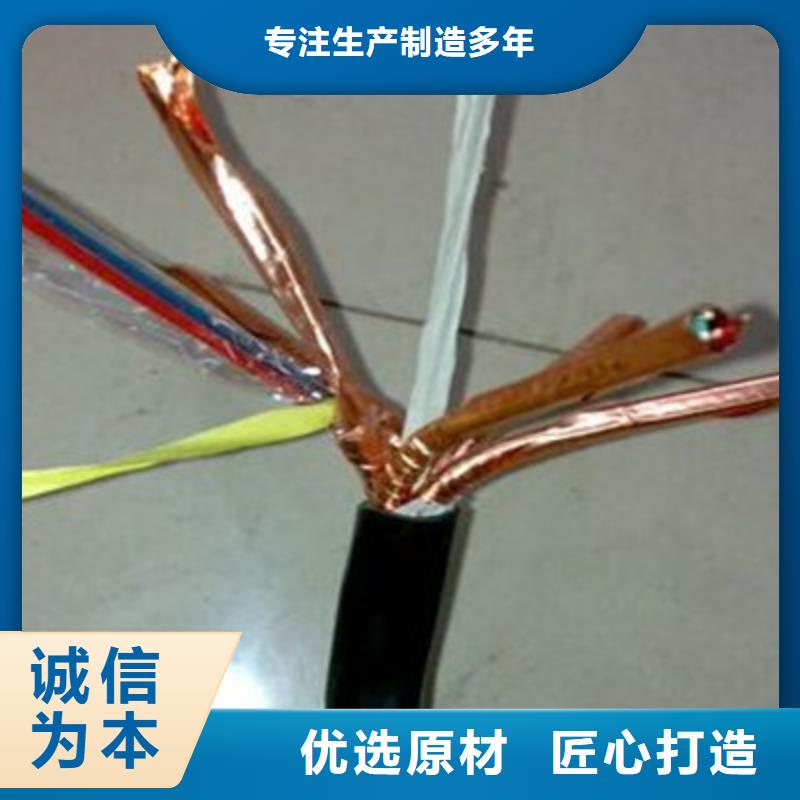 计算机电缆-屏蔽电缆专业品质