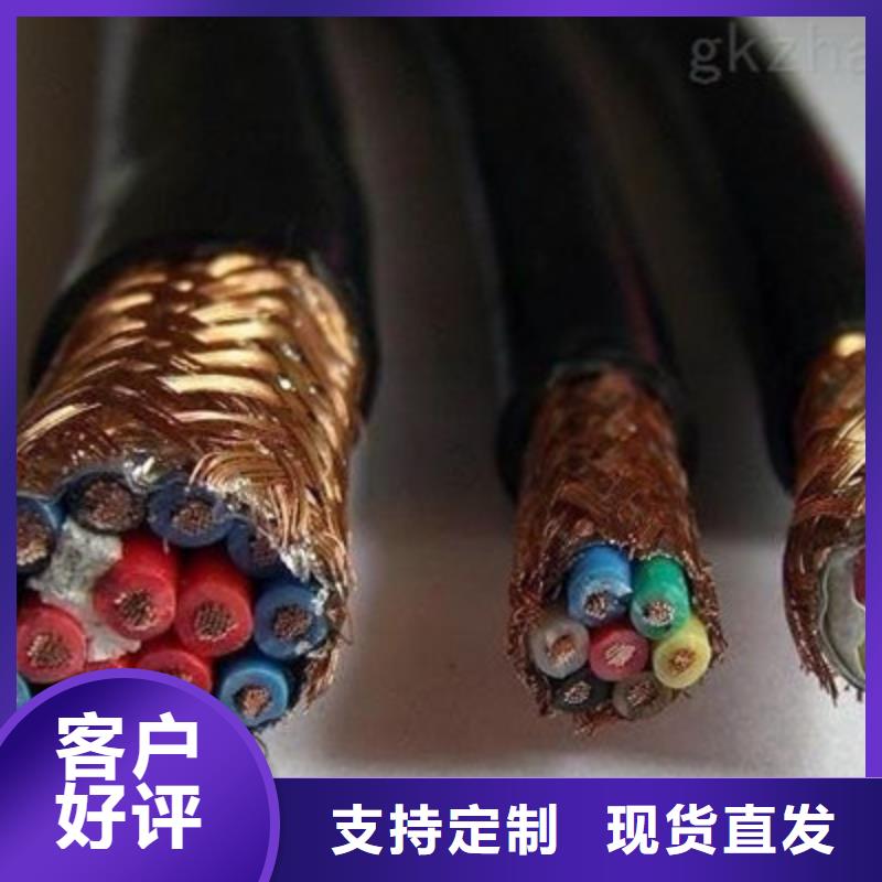 计算机电缆,电缆生产厂家厂家直销规格多样