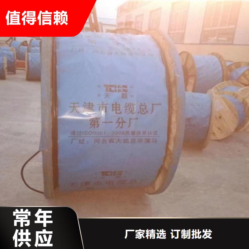 计算机电缆屏蔽电缆随到随提