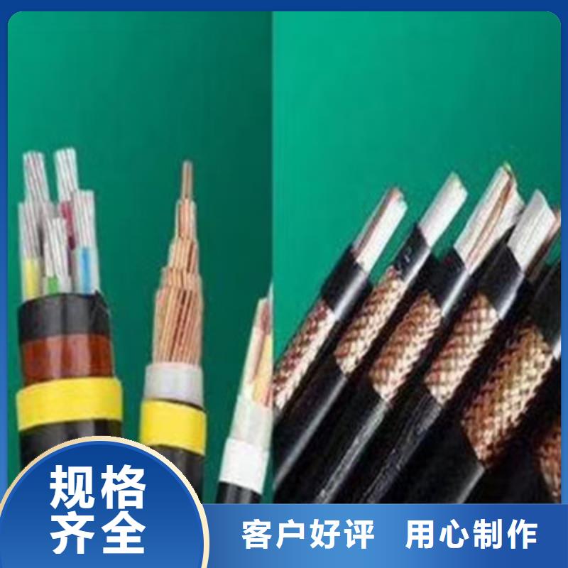 计算机电缆,屏蔽电缆诚信为本