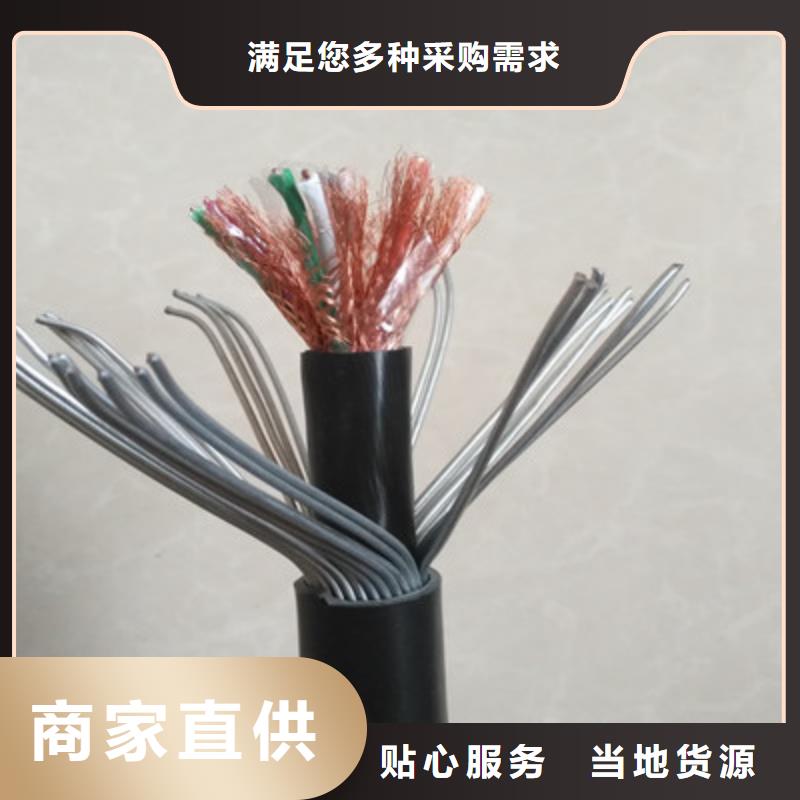 计算机电缆_屏蔽电缆欢迎来电咨询