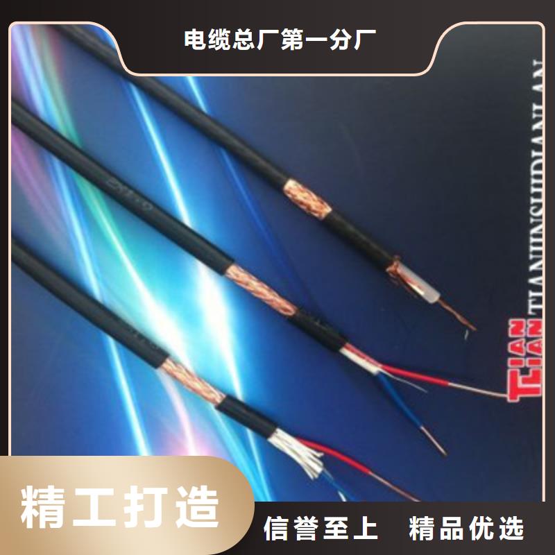 计算机电缆-屏蔽电缆专业品质