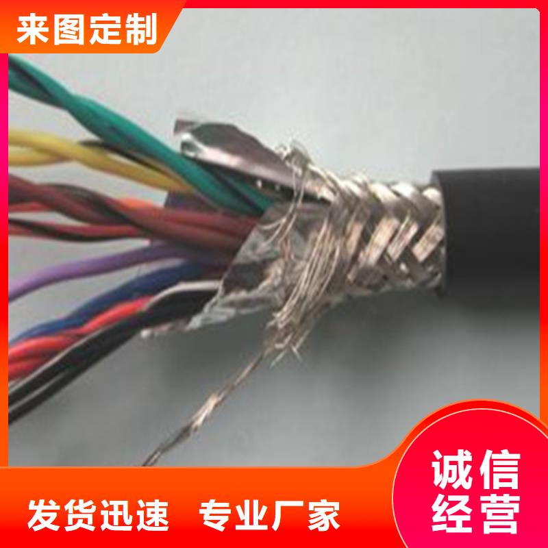 计算机电缆屏蔽电缆随到随提