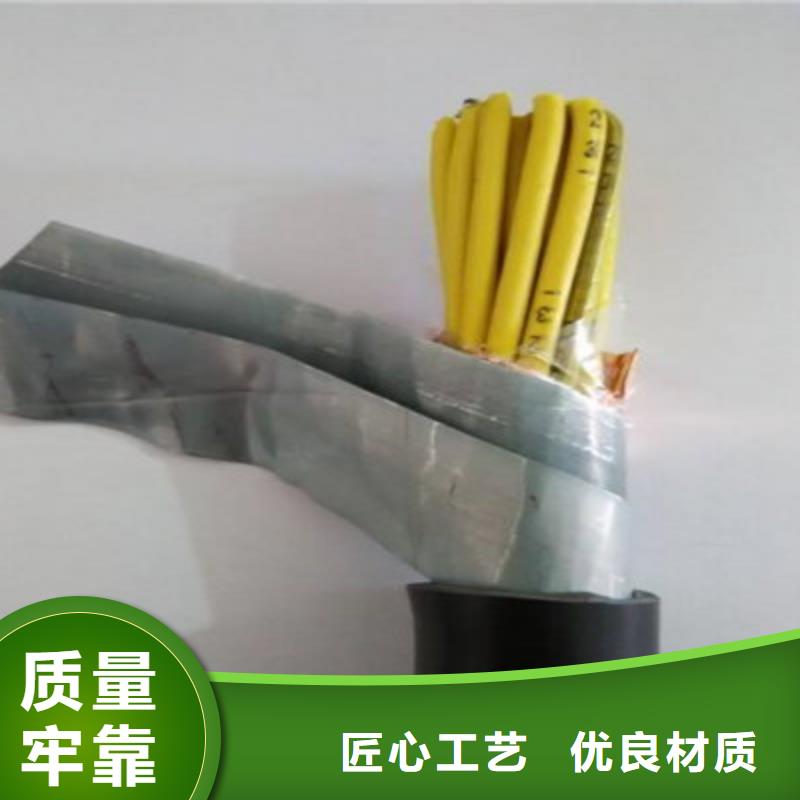 控制电缆通信电缆匠心打造