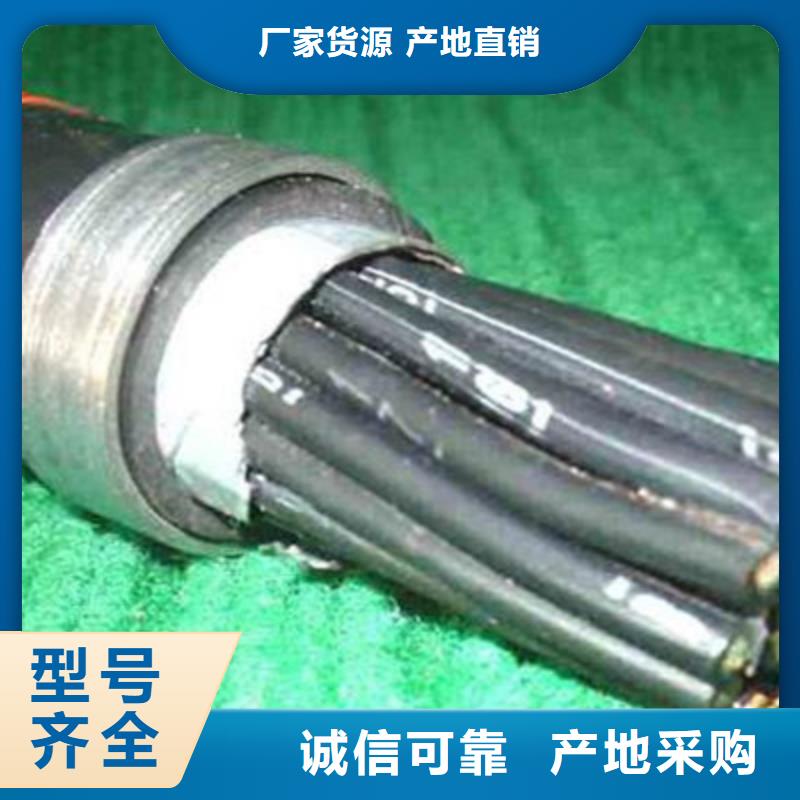 控制电缆,屏蔽电缆为您提供一站式采购服务