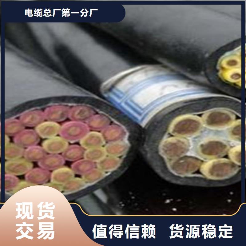 控制电缆,屏蔽电缆严格把关质量放心
