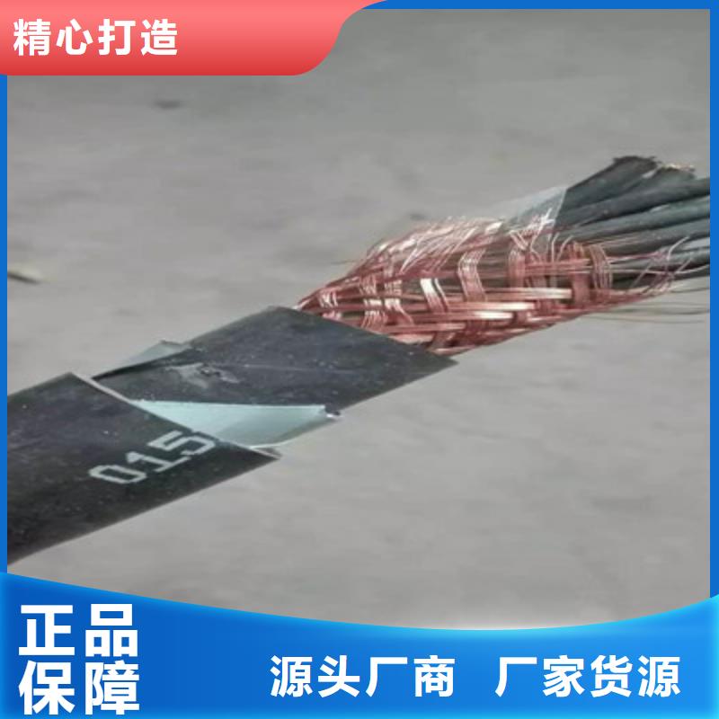 控制电缆通信电缆专注细节专注品质