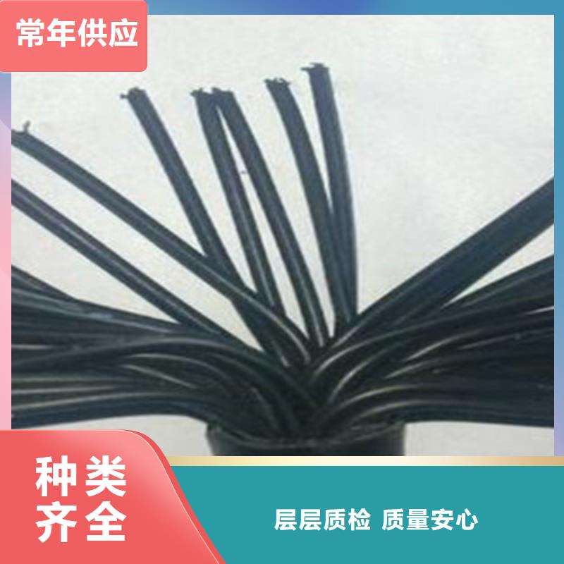 控制电缆屏蔽电缆快速物流发货