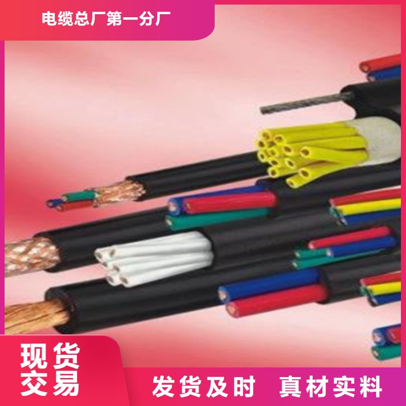 控制电缆电缆生产厂家支持大批量采购
