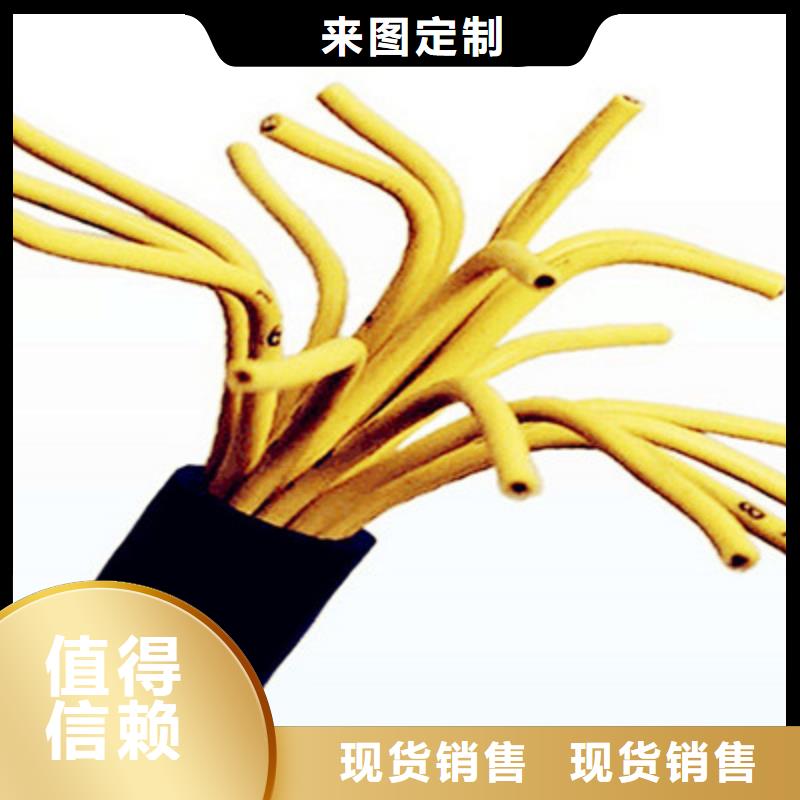 【矿用控制电缆】屏蔽电缆准时交付