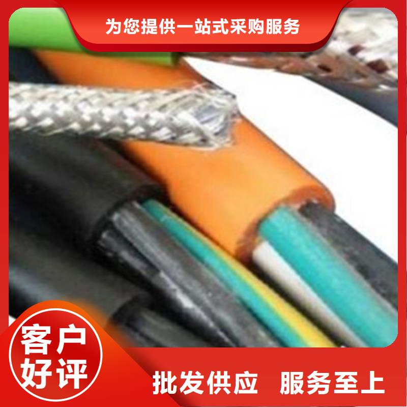 【矿用控制电缆】屏蔽电缆准时交付