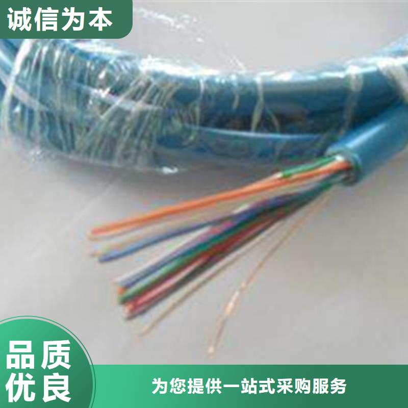 矿用信号电缆_屏蔽电缆厂家实力雄厚