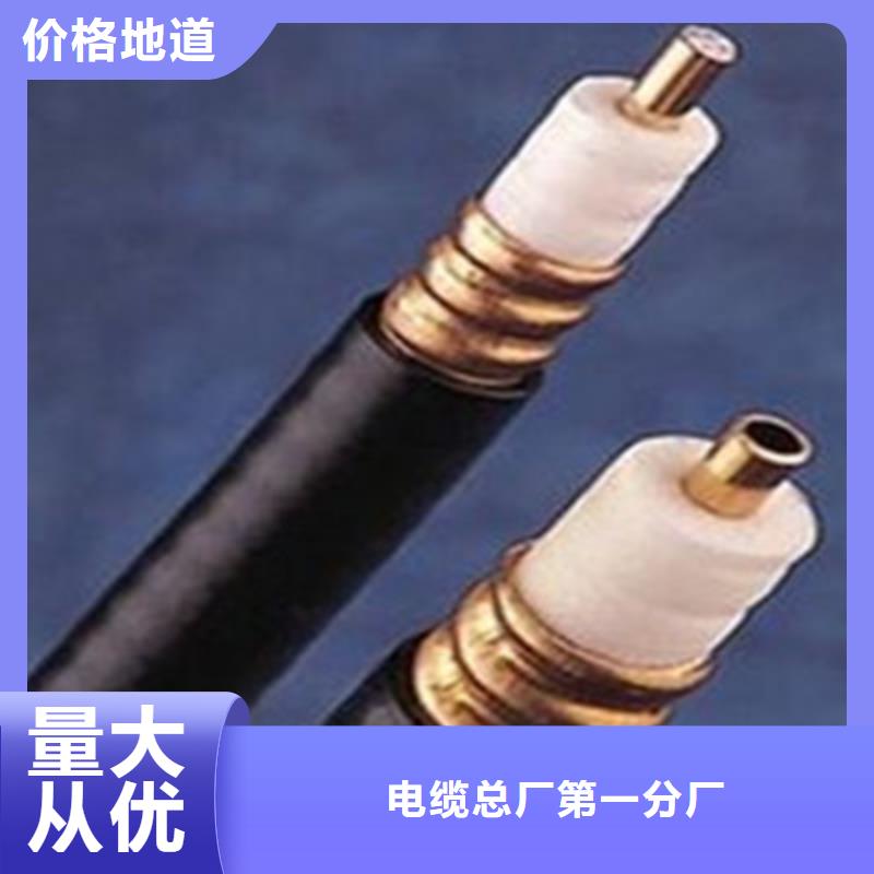 射频同轴电缆【屏蔽电缆】厂家拥有先进的设备