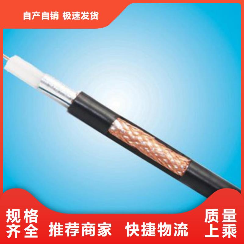 射频同轴电缆,【铁路信号电缆】精选厂家好货
