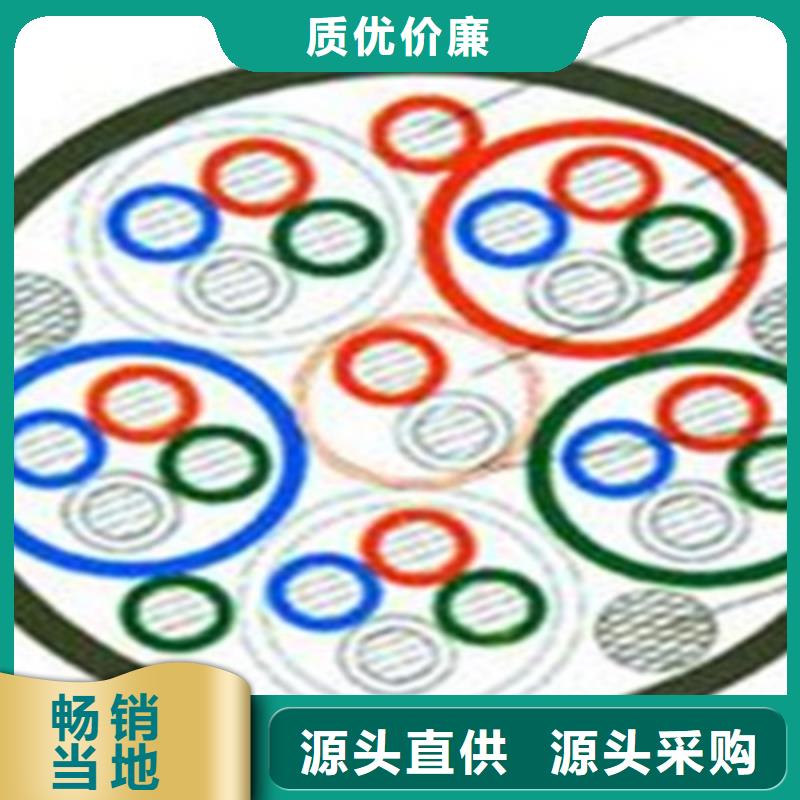 铁路信号电缆屏蔽电缆专业品质