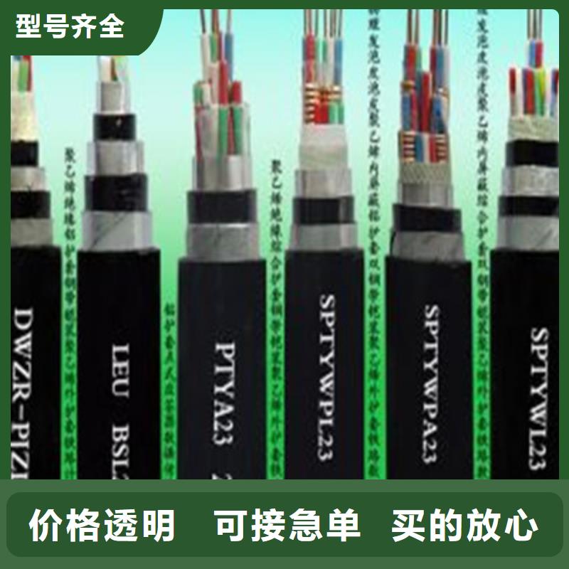 铁路信号电缆计算机电缆厂家直销省心省钱