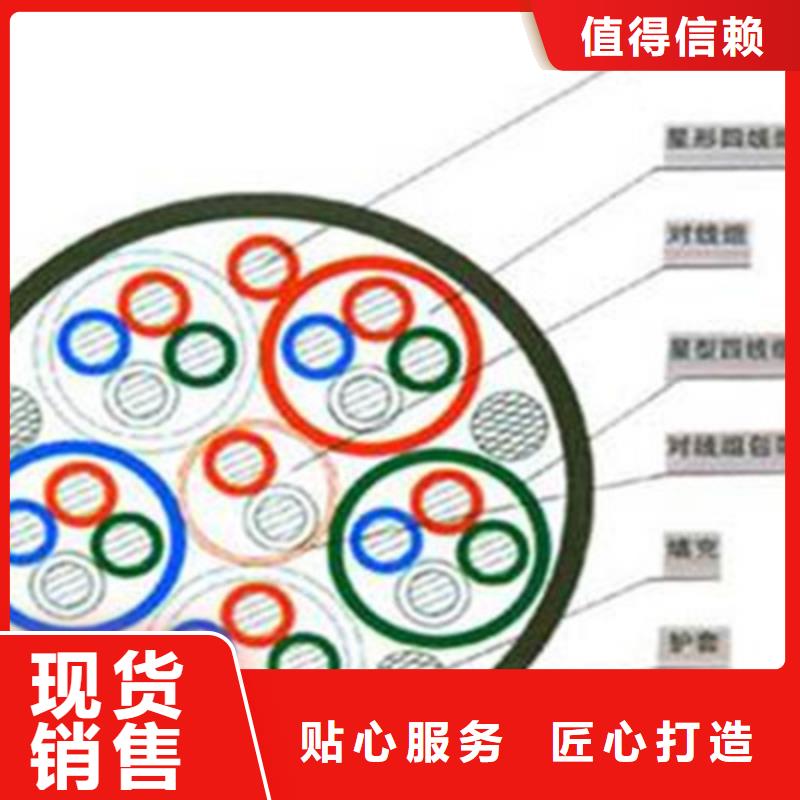 铁路信号电缆屏蔽电缆品质过硬