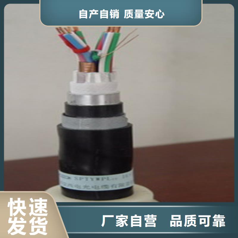 铁路信号电缆屏蔽电缆货源直销