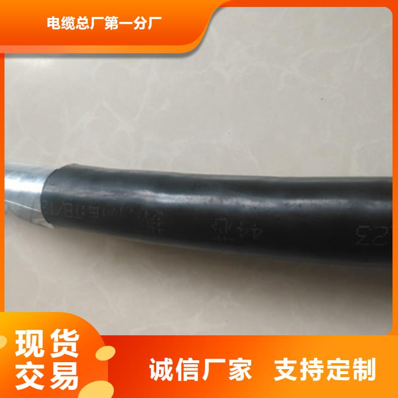 【铁路信号电缆信号电缆品类齐全】