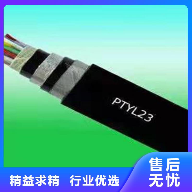 铁路信号电缆信号电缆N年专注
