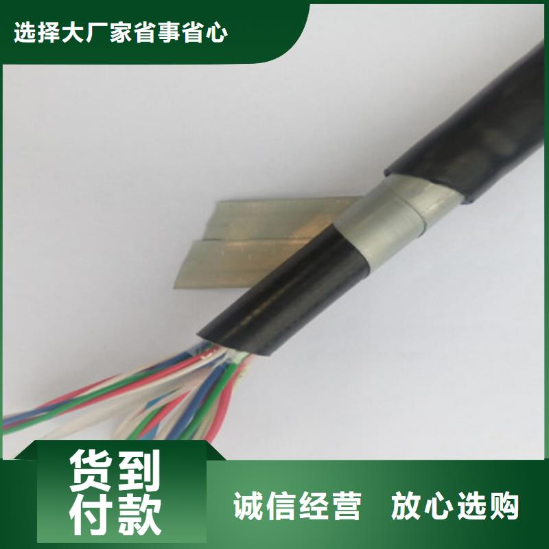 铁路信号电缆通信电缆厂家直销放心