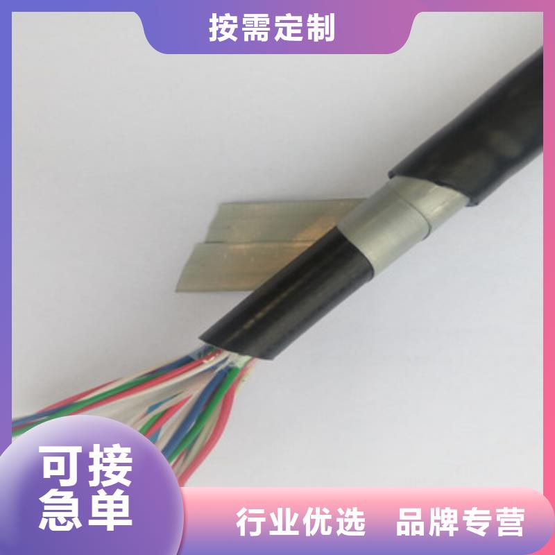 铁路信号电缆屏蔽电缆品质不将就