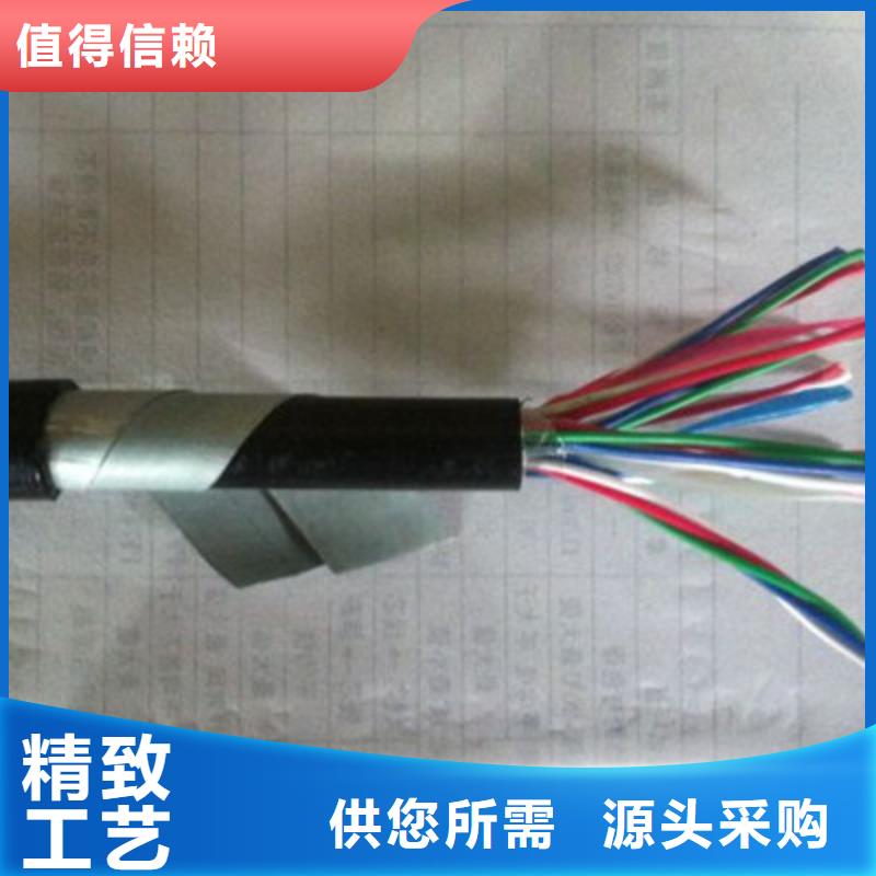 铁路信号电缆屏蔽电缆专业完善售后