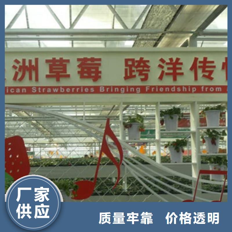 【草莓苗火箭大樱桃树苗按需定制真材实料】