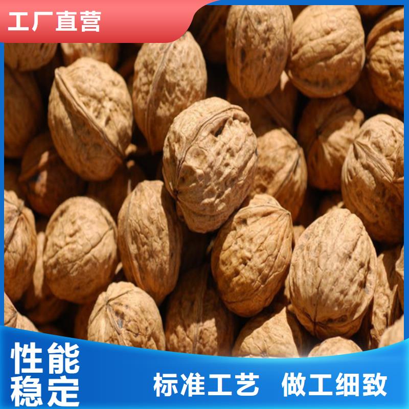 核桃苗苹果苗多种规格供您选择