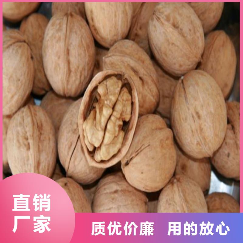 核桃苗毛蟠桃树苗用好材做好产品