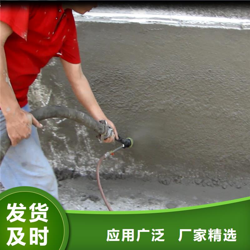 砂浆喷涂机【混凝土输送泵厂家】用途广泛