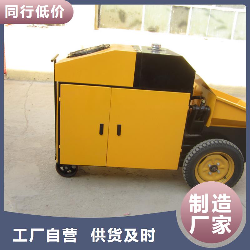 二次构造柱泵混凝土输送泵交货准时