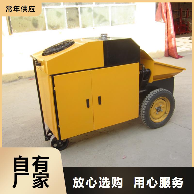 二次构造柱泵二次结构浇筑机来图定制