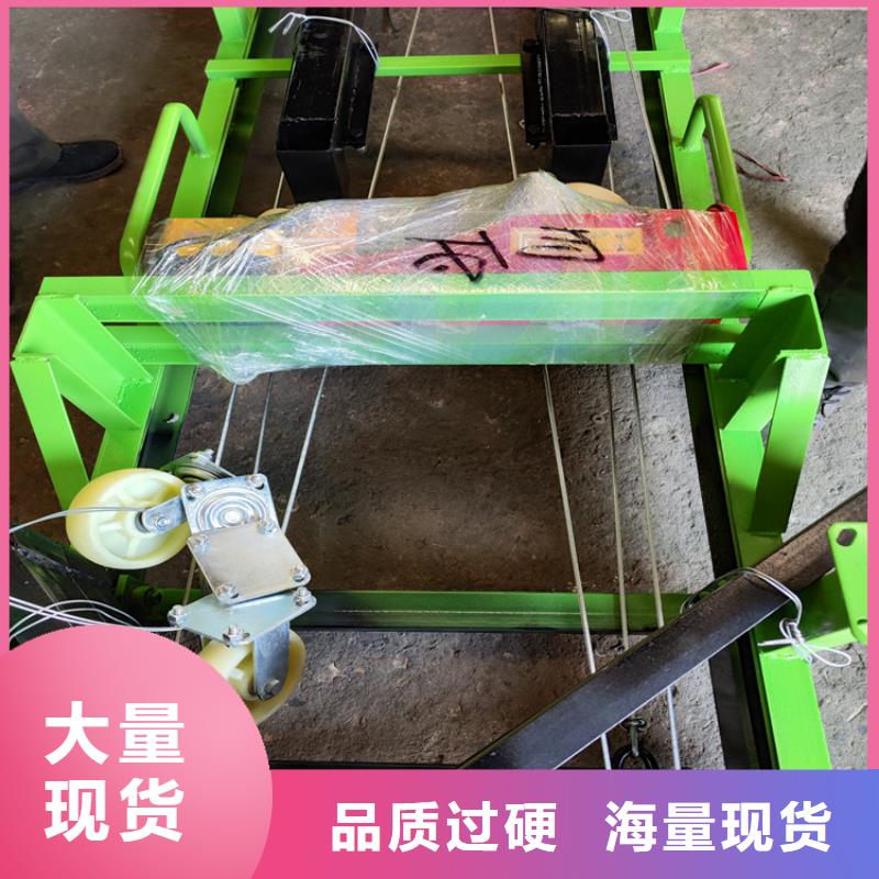 电动上砖机-【二次结构浇筑机】交货准时