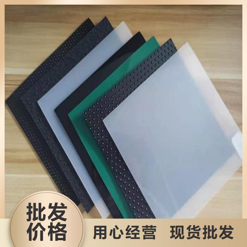 土工膜_植草格品牌大厂家